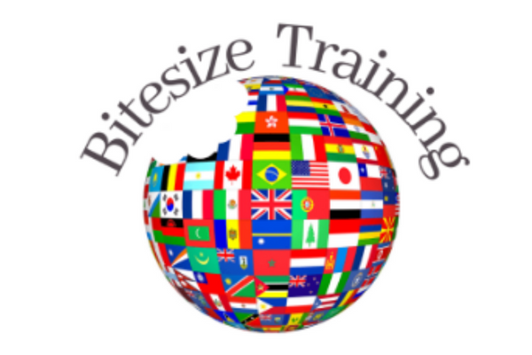 International Bitesize Training